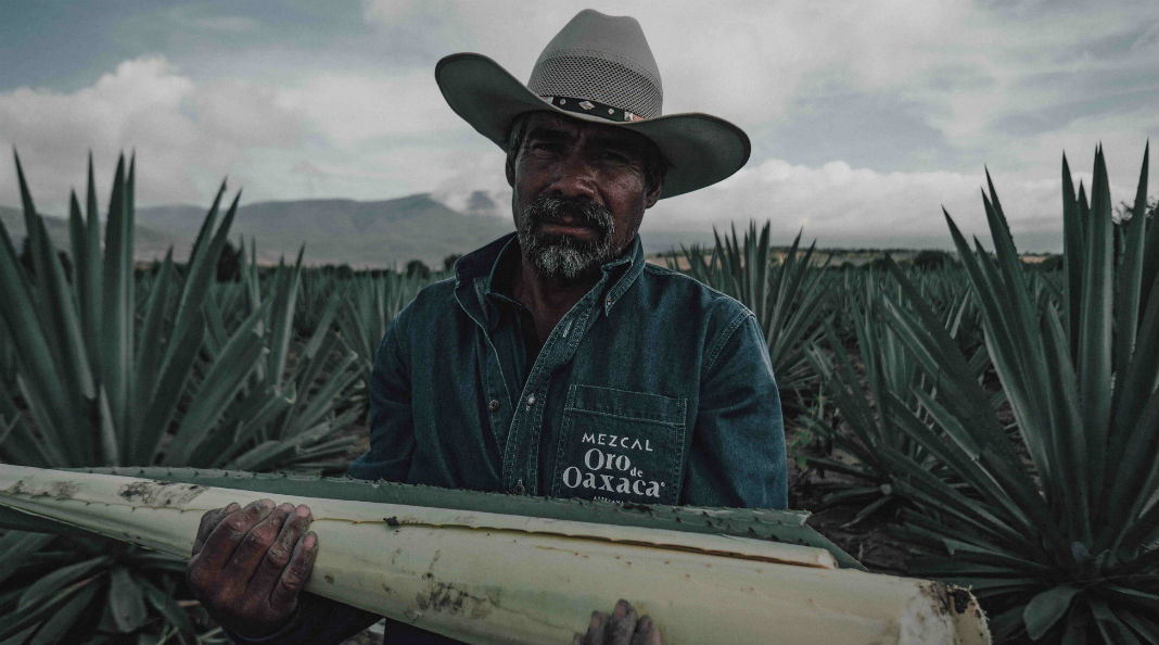 Mezcal Oro de Oaxaca