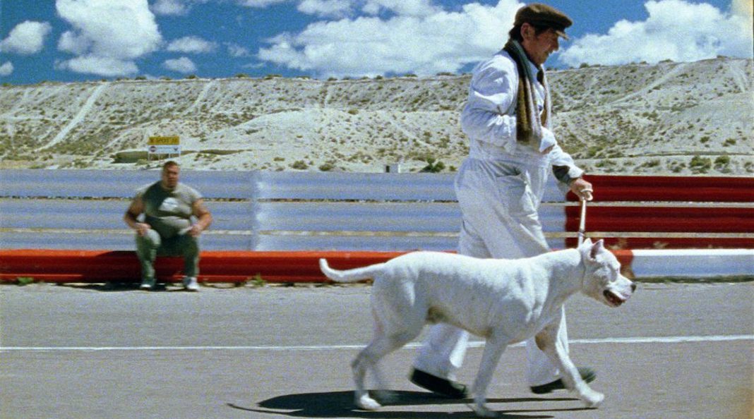 Columna Los cínicos