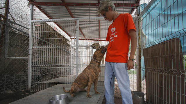 Animales en Guanajuato