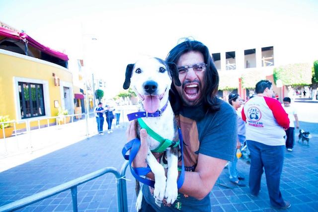 Animales en Guanajuato