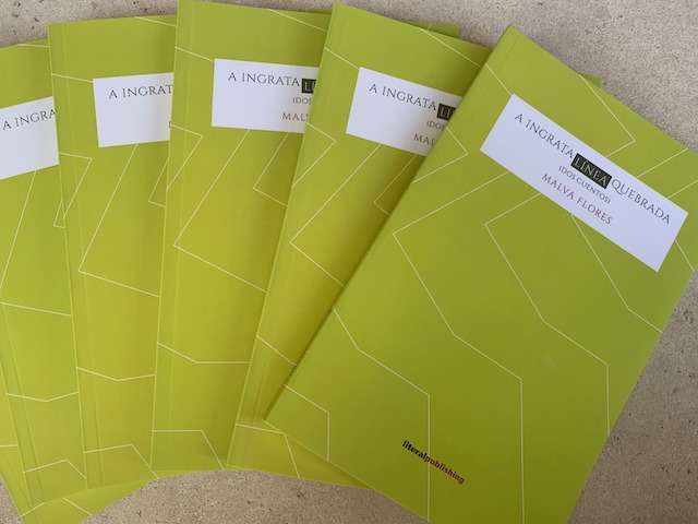 Los 11 libros de poesía 