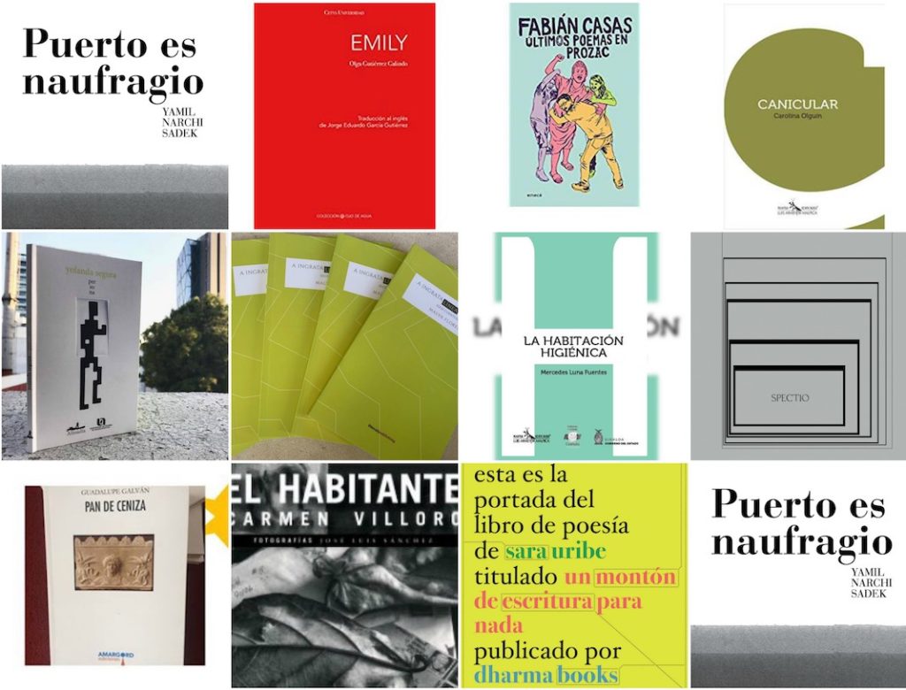 Los 11 libros de poesía