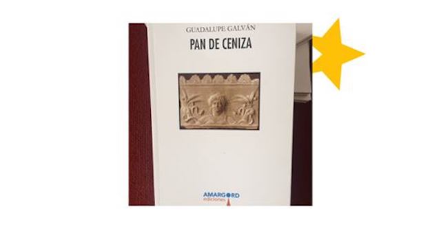 Los 11 libros de poesía 