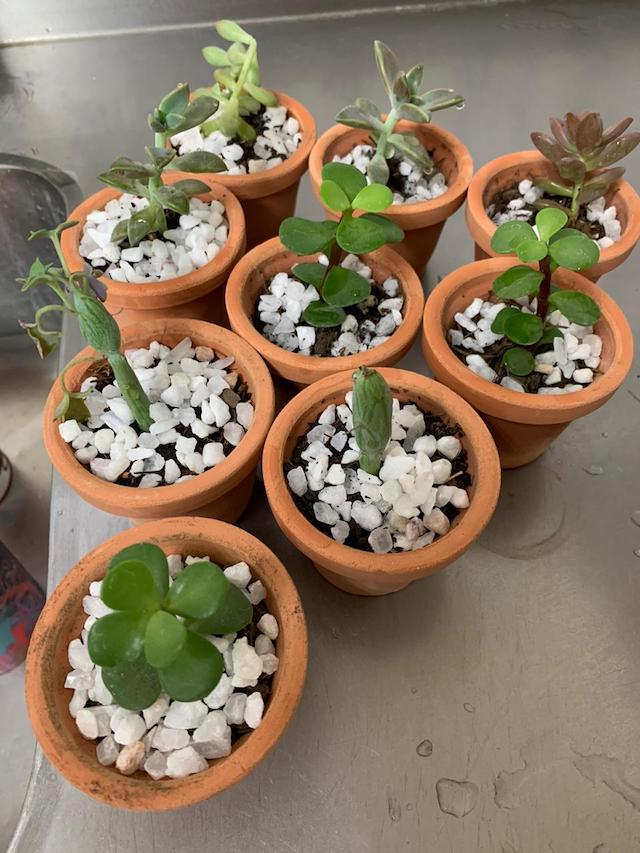 Regalos para mamá on line