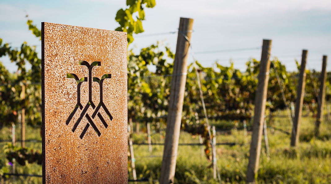 Vinícola Tres Raíces