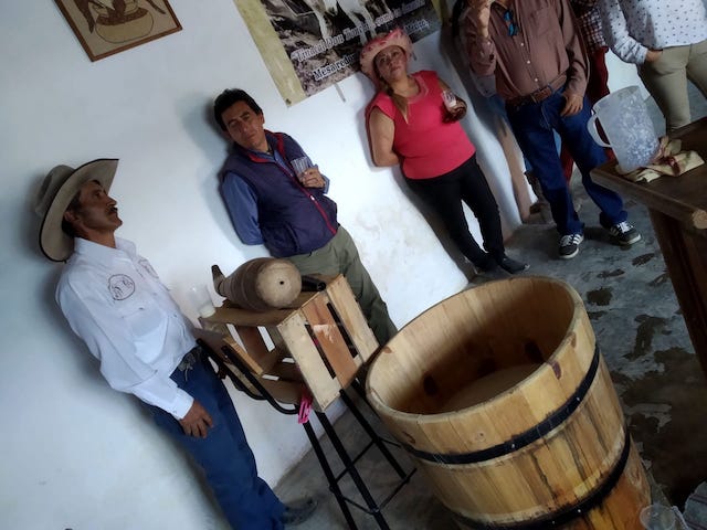 El maguey y el pulque