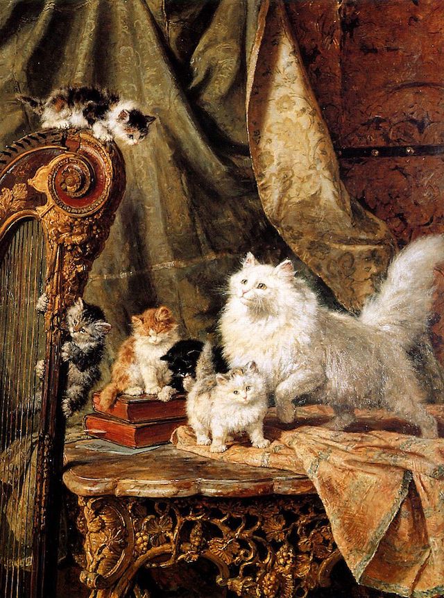Los gatos de Henriëtte Knip