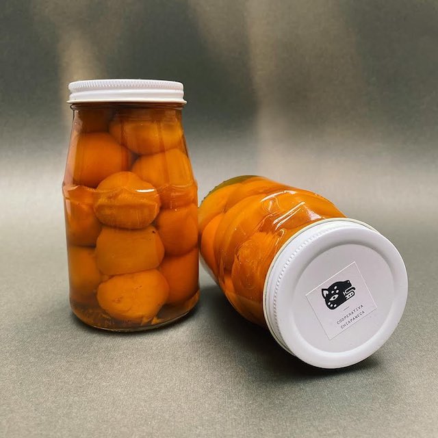 Cooperativa Chiapaneca