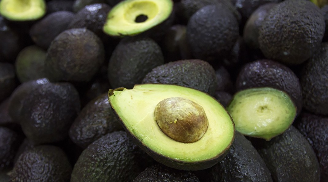 Aguacate mexicano
