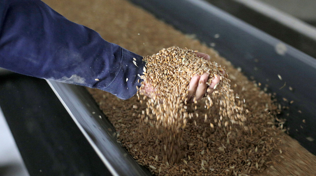 El hambre en el mundo