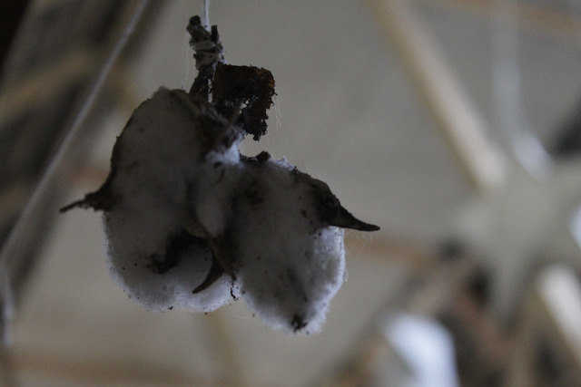 Casa Mundo del Algodón