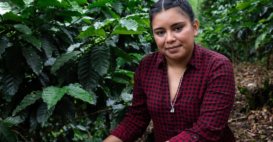 Migrantes guatemaltecos