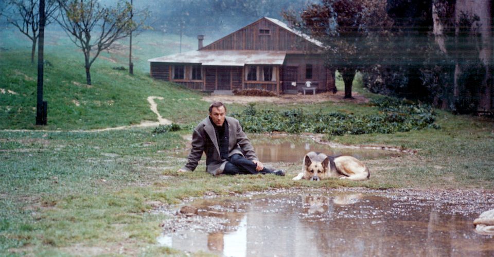 Andrei Tarkovsky