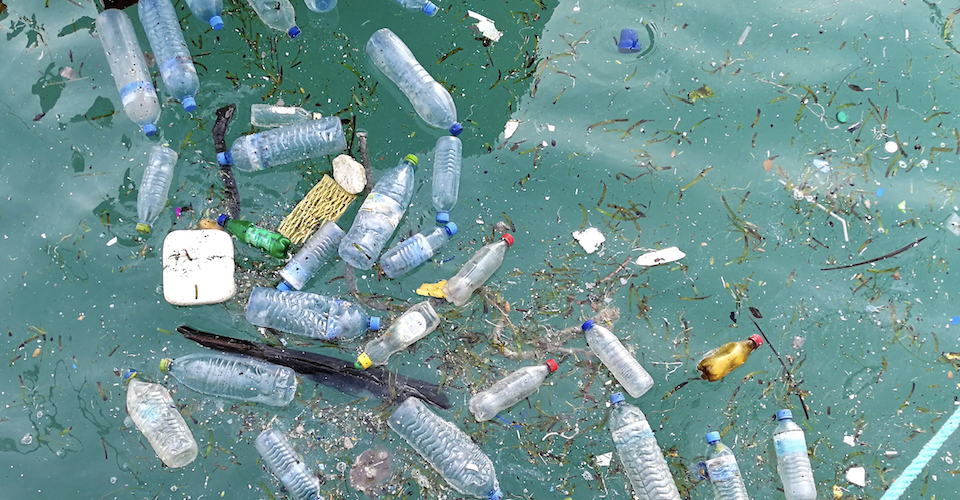 Botellas de plástico