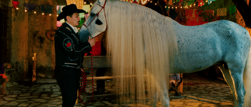 José Manuel Figueroa