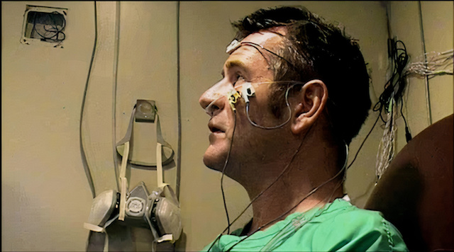 Los sentidos humanos