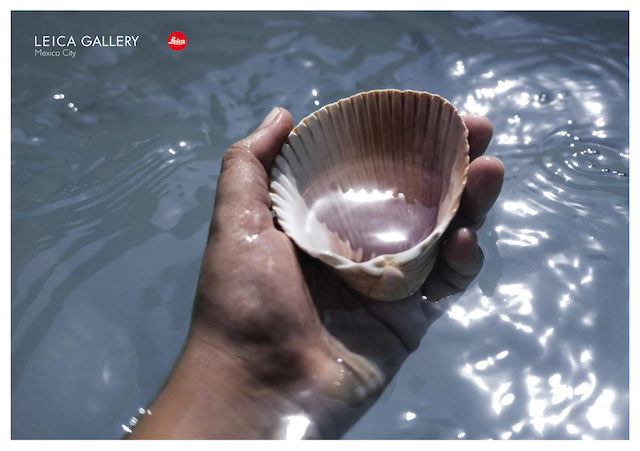 Leica Gallery