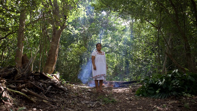 Más una Mérida de todos, menos una blanca Mérida.