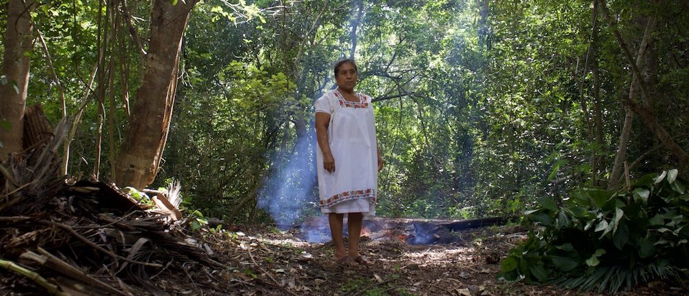 Más una Mérida de todos, menos una blanca Mérida.