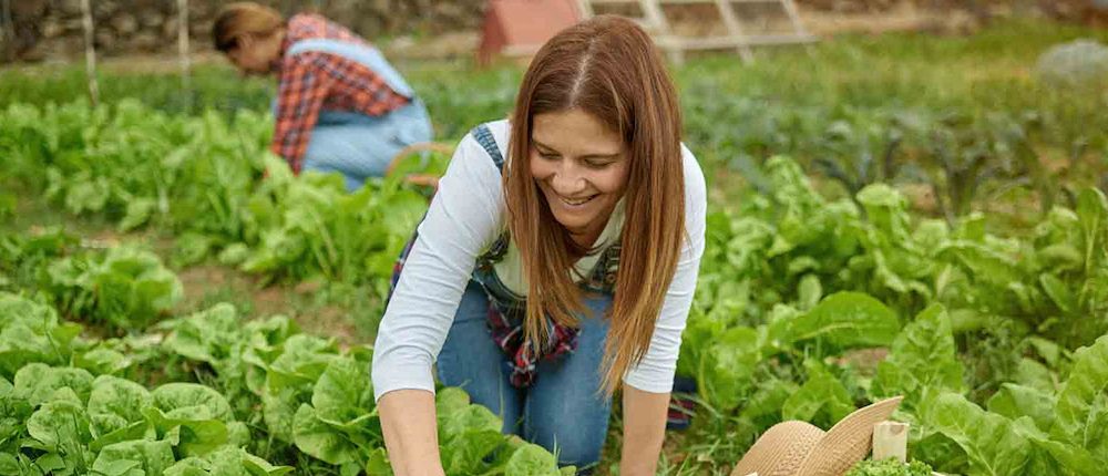 Agricultura regenerativa