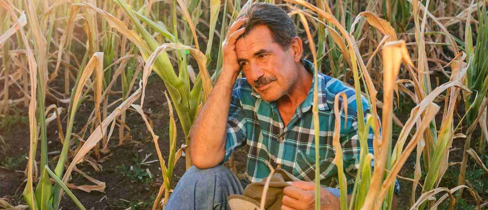 Cambio climático y migración